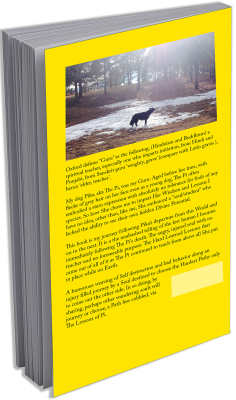 gwy-book-back-cover-small.png